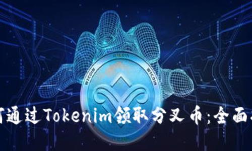 如何通过Tokenim领取分叉币：全面指南