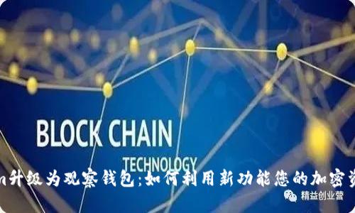 Tokenim升级为观察钱包：如何利用新功能您的加密资产管理