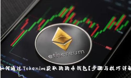 如何通过Tokenim获取狗狗币钱包？步骤与技巧详解