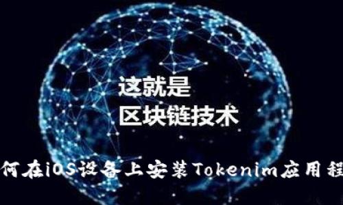如何在iOS设备上安装Tokenim应用程序
