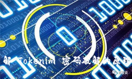 深入了解 Tokenim 密码破解的原理与方法