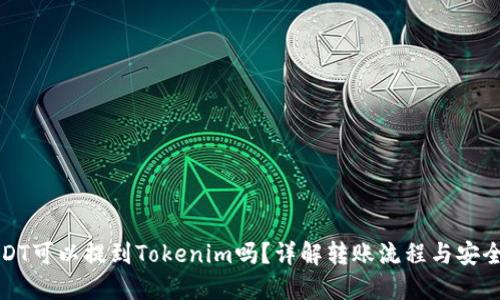 USDT可以提到Tokenim吗？详解转账流程与安全性