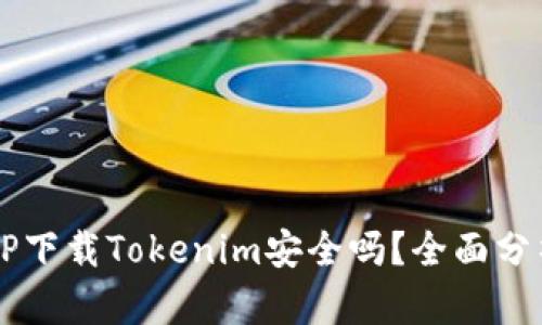 PP下载Tokenim安全吗？全面分析