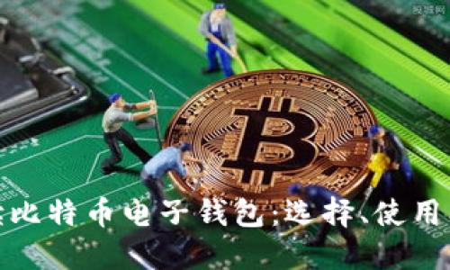 全面解读比特币电子钱包：选择、使用及安全性