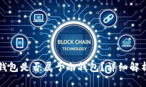 比特派钱包是否属于冷钱包？详细解析与对比