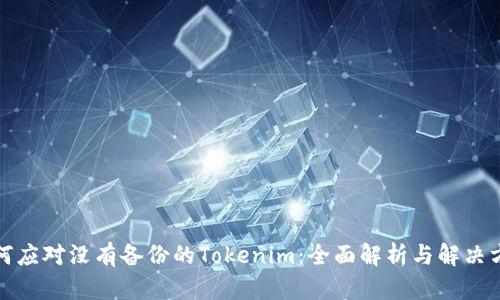 如何应对没有备份的Tokenim：全面解析与解决方案
